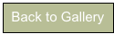 Back to Gallery